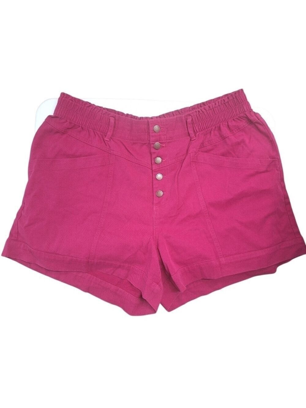 Knox Rose Fuchsia Pink Shorts Size 1X